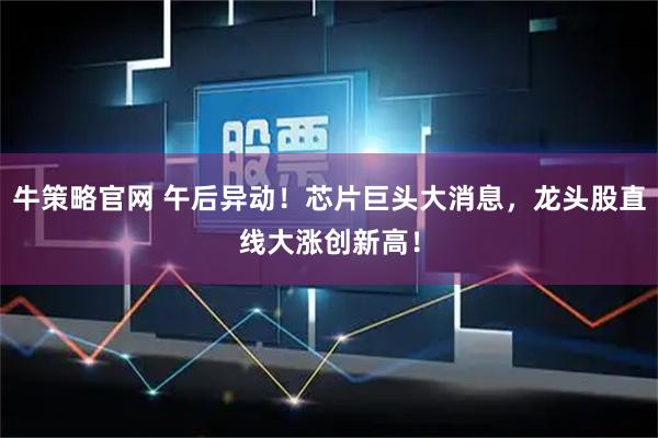 牛策略官网 午后异动！芯片巨头大消息，龙头股直线大涨创新高！